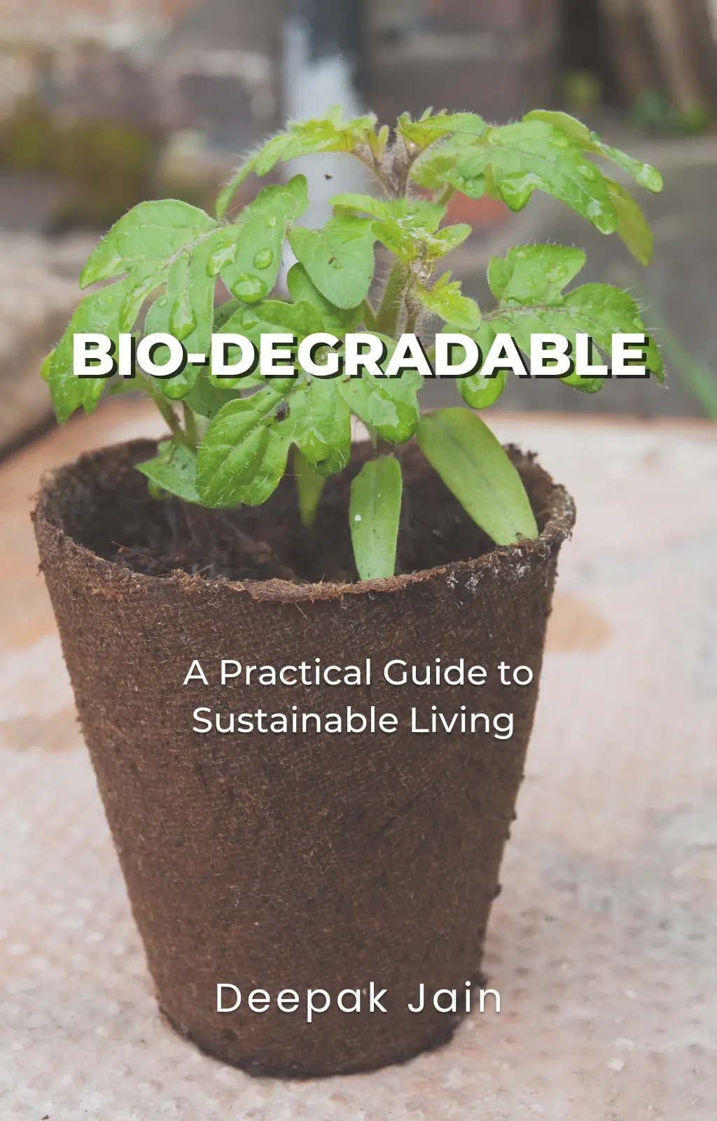 Ebook cover Biodegradable a practical guide to sustainable living